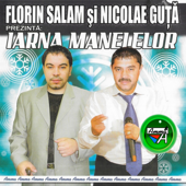 Eu As Da Zilele Mele song art