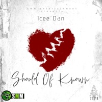 Should of Known - Single - Icee Dan
