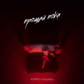 Прощай пока KOMMO & FrazyBaby