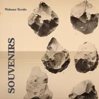 Souvenirs — Midwave Breaks