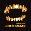 Gold Digger - Single