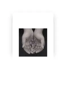 Listen to Merakai, watch music videos, read bio, see tour dates & more!