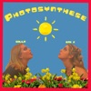 photosynthese - Single