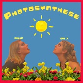 Dilla - photosynthese