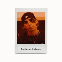 Quiere Pelear - Single - Zilvestre