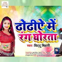 Dhodhiye Me Rang Ghorata - Single - Bittu Bihari