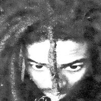 Holywood Mentality - Single - NRG Komodo