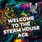 Welcome to the Steam House Age (Steam House Radio Mix) artwork