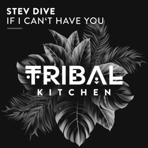 If I Can't Have You - Single