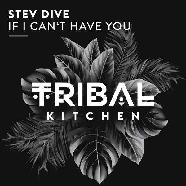 If I Can't Have You - Single