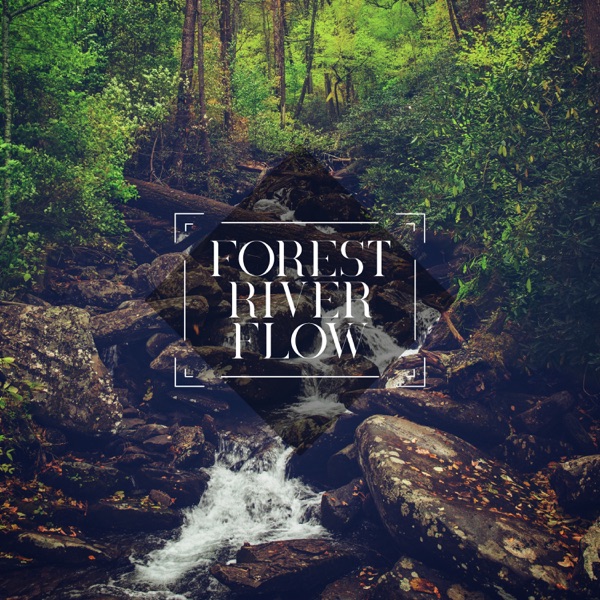 Forest River Flow - Single