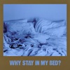 WHY STAY IN MY BED? - Single