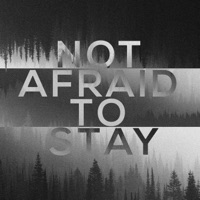 Not Afraid To Stay - Single - Leon Kold