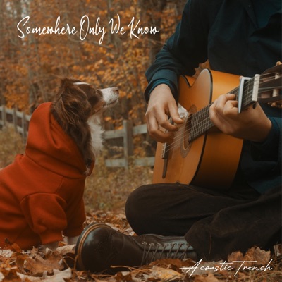 Somewhere Only We Know cover