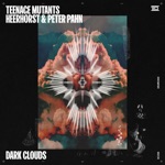 Teenage Mutants - Dark Clouds (feat. Heerhorst & Peter Pahn)