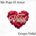 ME PEGO EL AMOR