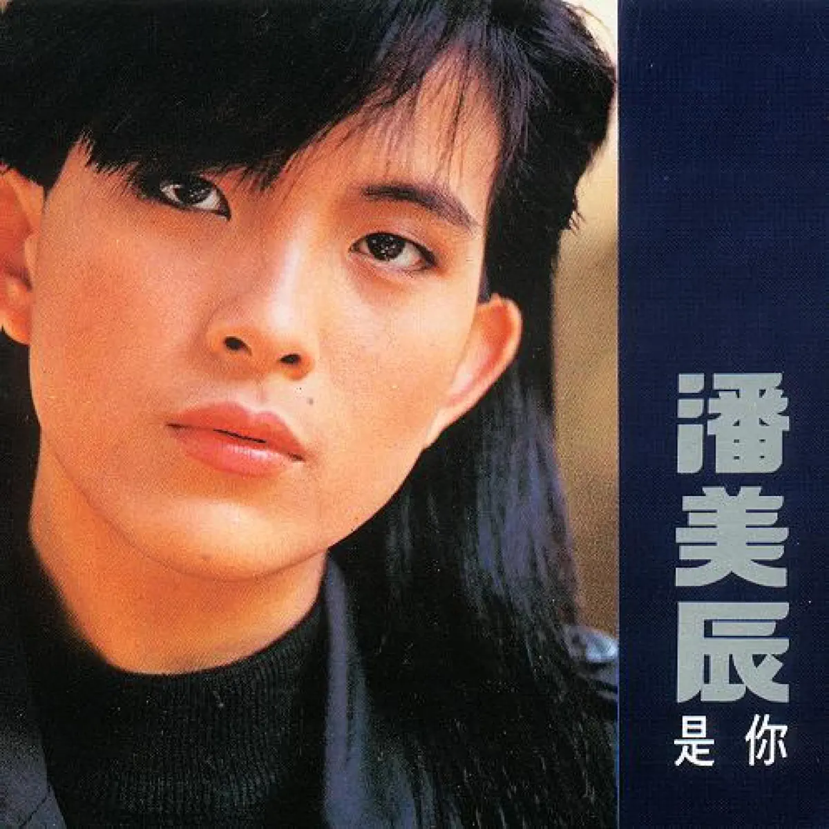 潘美辰 - 是你 (1989) [iTunes Plus AAC M4A]-新房子