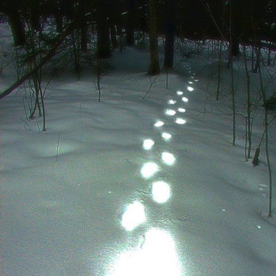 identityfraud - Video Game Lover