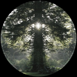 God / Lucifer - Single