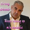 Wees Zuinig Op m'n Meissie - Single