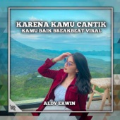 Dj Karena Kamu Cantik Kamu Baik breakbeat viral INS artwork