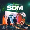 Sdm (Spray D Money) - Single