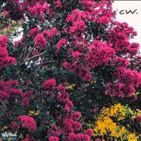 Peaks and Valleys - Single - Chilwell. & Lifted LoFi