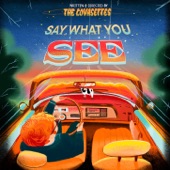 Say What You See artwork