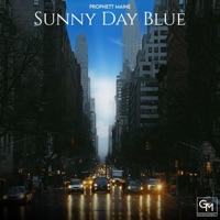 Sunny Day Blue - Prophett Maine