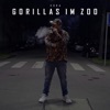 Gorillas im Zoo - Single