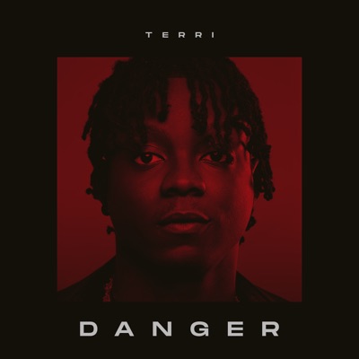 Danger - Single