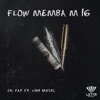 Flow Memba M16 (feat. Lil Fat & Lini Music) - Single