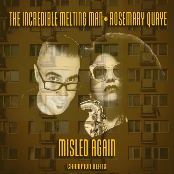 Misled Again - Single