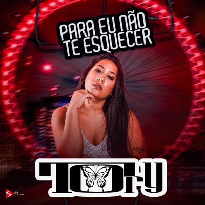 Para Eu Não Te Esquecer - Single