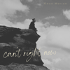Can't Right Now - Owen Morton