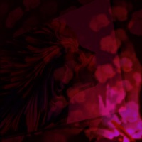 Alena - Single - Принц Комы