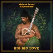 Big Big Love artwork