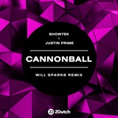 Cannonball (Will Sparks Remix) artwork