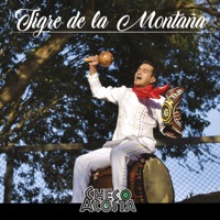 Tigre de la Montaña - Single - Checo Acosta