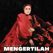 Mengertilah artwork