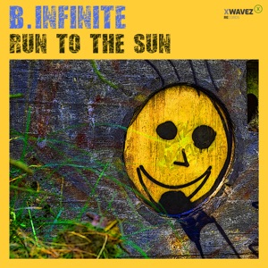 Run to the Sun - Single