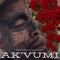 Ak'vumi (feat. Prince Gemini) - Dinkie lyrics