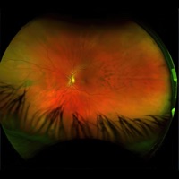 Mirrorcell - Greg Puciato