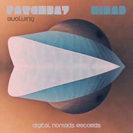 Evolving Patchbay & Ninad