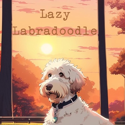 Lazy Labradoodle - Single