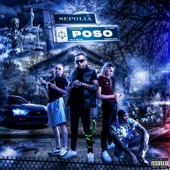 Poso (feat. Silly Slime, Dogoloco & DJ Tune) artwork