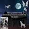 Live Live Live (feat. Andy Grn) - Ak Illuminated Rj lyrics