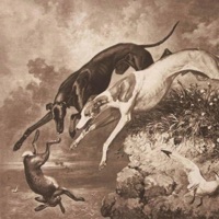 Let the Hunt Begin - Single - Dominus Soul