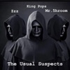 Usual Suspects (feat. Chemicalzzz) - Single