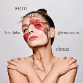 Seni Bir Daha Görmezsem Olmaz artwork